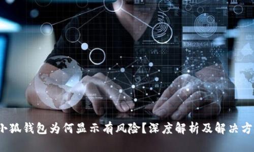  小狐钱包为何显示有风险？深度解析及解决方案