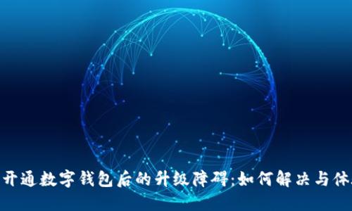 : 开通数字钱包后的升级障碍：如何解决与体验