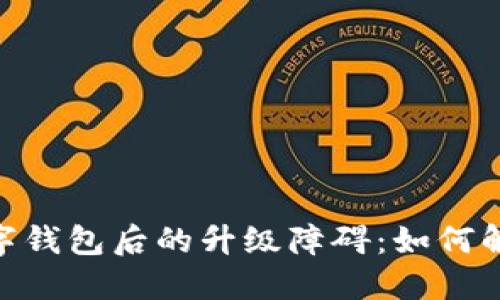 : 开通数字钱包后的升级障碍：如何解决与体验