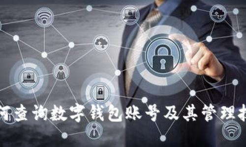 如何查询数字钱包账号及其管理技巧