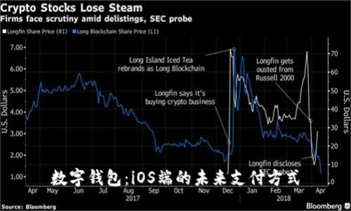 数字钱包：iOS端的未来支付方式