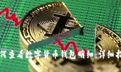 如何查看数字货币钱包明细：详细指南