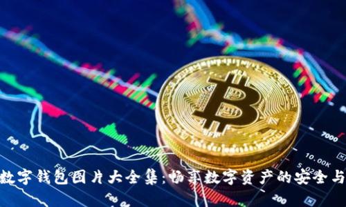 狐狸数字钱包图片大全集：畅享数字资产的安全与便捷