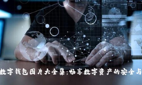 狐狸数字钱包图片大全集：畅享数字资产的安全与便捷
