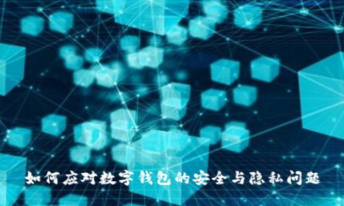 如何应对数字钱包的安全与隐私问题