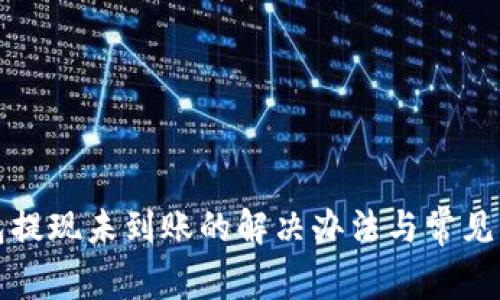 小狐钱包提现未到账的解决办法与常见问题解析