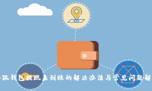 小狐钱包提现未到账的解决办法与常见问题解析