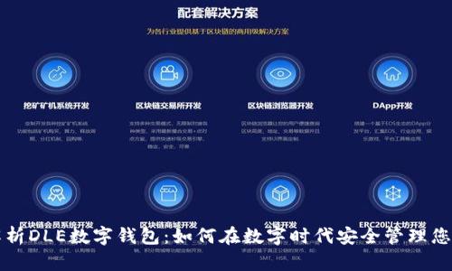 全面解析DLE数字钱包：如何在数字时代安全管理您的资产