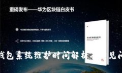 : 小狐钱包系统维护时间解