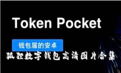狐狸数字钱包高清图片合