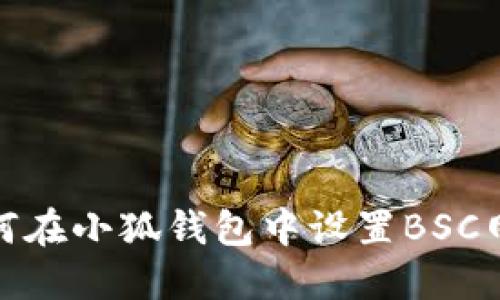 如何在小狐钱包中设置BSC网络