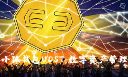 全面解析小狐钱包UDST：数字资产管理的新选择