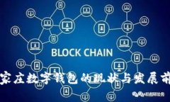 石家庄数字钱包的现状与