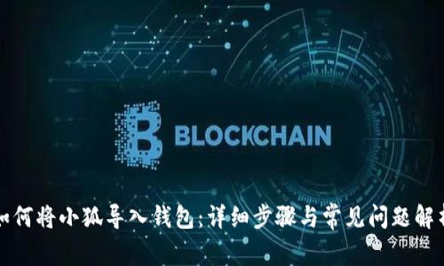 如何将小狐导入钱包：详细步骤与常见问题解析