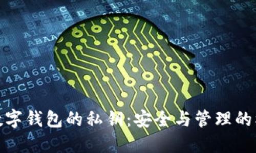 : 数字钱包的私钥：安全与管理的核心