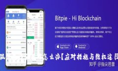 被小狐钱包诈骗百万怎么