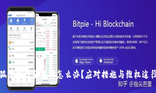 被小狐钱包诈骗百万怎么办？应对措施与维权途径详解