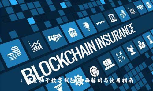 : 探索柚子数字钱包：全面解析与使用指南