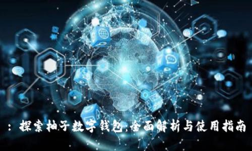 : 探索柚子数字钱包：全面解析与使用指南