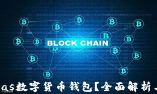
什么是Pulas数字货币钱包？全面解析与使用指南