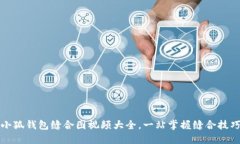 小狐钱包缝合图视频大全