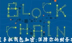 魅蓝手机钱包加密：保障