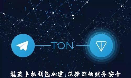 
魅蓝手机钱包加密：保障你的财务安全