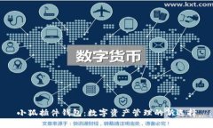 小狐插件钱包：数字资产
