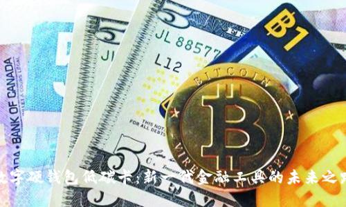 数字硬钱包低碳卡：新一代金融工具的未来之路