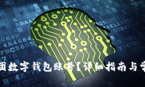 如何注销美团数字钱包账号？详细指南与常见问题解答
