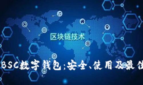 了解BSC数字钱包：安全、使用及最佳实践