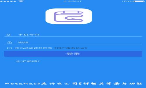 MetaMask是什么公司？详解其背景与功能