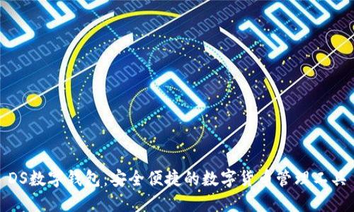 DS数字钱包：安全便捷的数字货币管理工具