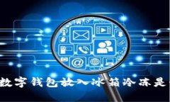 为什么将数字钱包放入冰