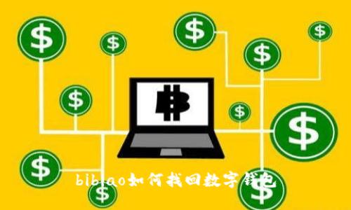 bibiao如何找回数字钱包