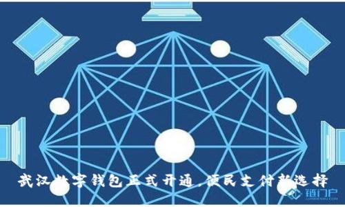 武汉数字钱包正式开通，便民支付新选择