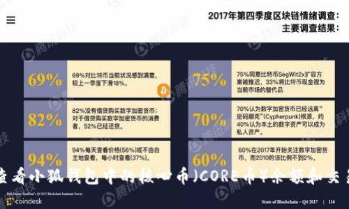 如何查看小狐钱包中的核心币（CORE币）余额和交易历史