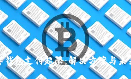 : 数字钱包支付超限：解决方案与未来发展