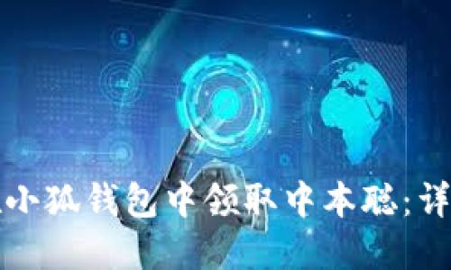 如何在小狐钱包中领取中本聪：详细指南