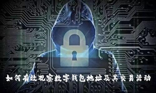 如何有效观察数字钱包地址及其交易活动