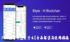   Puls数字钱包是什么？全