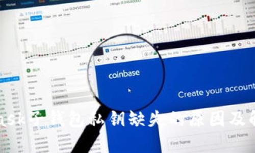 MetaMask子钱包私钥缺失的原因及解决方案