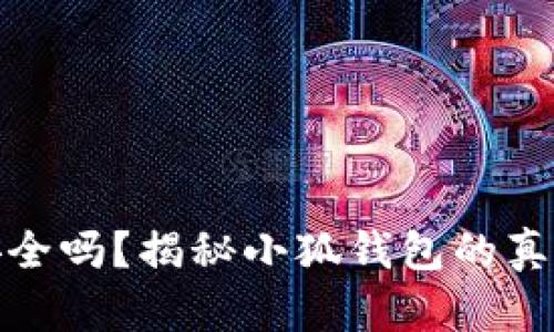 小狐钱包安全吗？揭秘小狐钱包的真伪及安全性