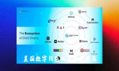 美国数字钱包的使用和普