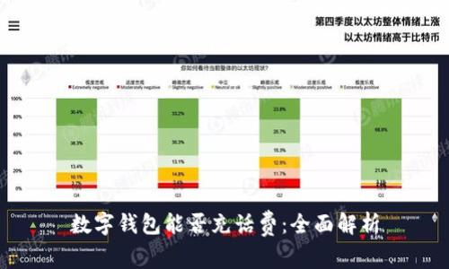 数字钱包能否充话费：全面解析