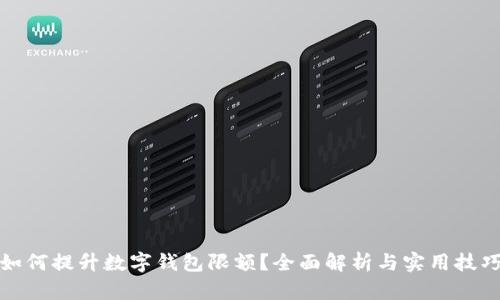 如何提升数字钱包限额？全面解析与实用技巧