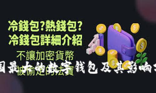 美国最大的数字钱包及其影响分析