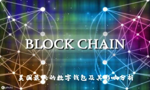 美国最大的数字钱包及其影响分析