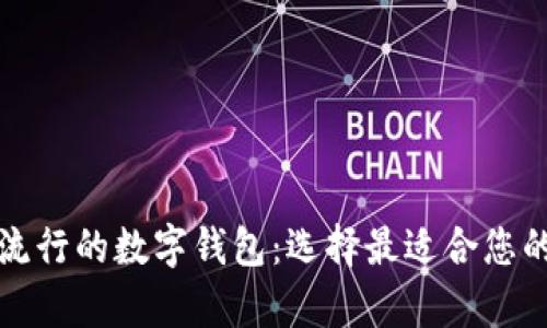 探索当前流行的数字钱包：选择最适合您的支付方式