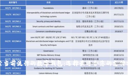 探索当前流行的数字钱包：选择最适合您的支付方式